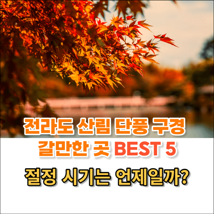 전라도 단풍 구경 갈만한 곳 썸네일