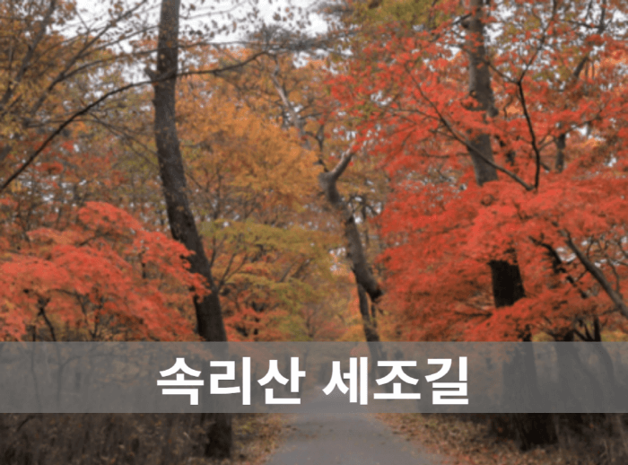 속리산 세조길 전경