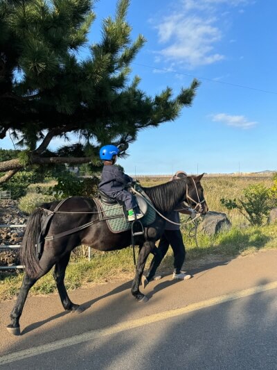 제주도 말타기 체험 모습(아들)