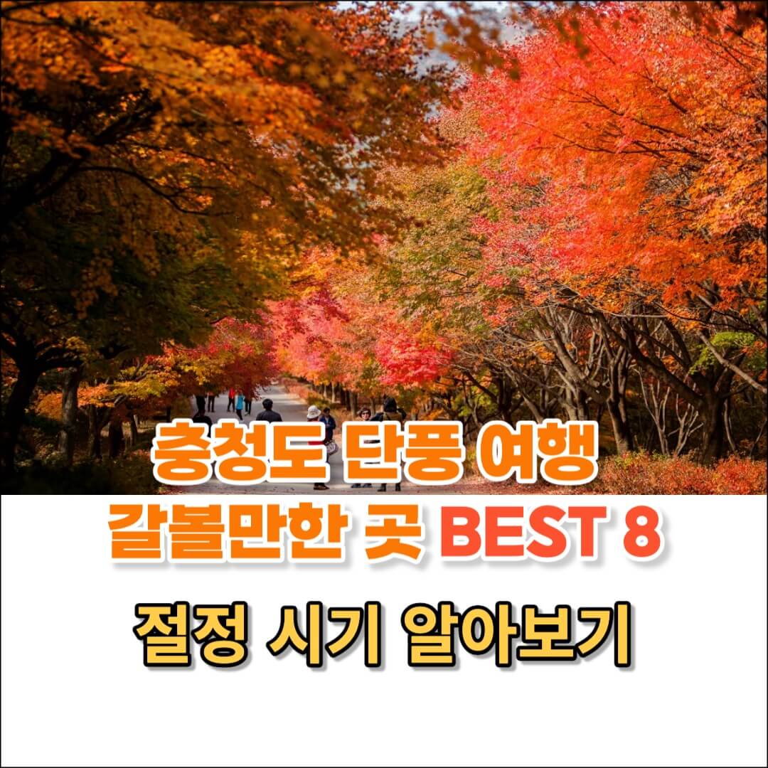 충청도 단풍여행 가볼만한 곳 썸네일